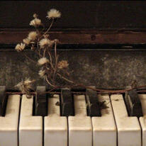 Piano com dentes de leão nascendo das teclas.